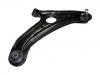 控制臂 Control Arm:54501-1C000