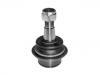Ball Joint:48068-87206