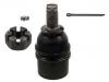 球头 Ball Joint:5C3Z3049BB