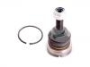 Ball Joint:2H0 407 022 B#