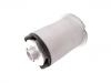 Suspension Bushing:242 351 03 00