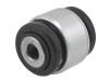 Suspension Bushing:21019254