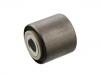 Suspension Bushing:500323279