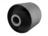 Suspension Bushing:55280-3E100
