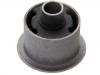 Suspension Bushing:21842-3E530