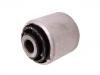 Suspension Bushing:8E0 505 279 G