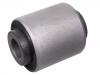 Suspension Bushing:RGX101020
