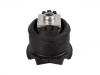 Suspension Bushing:231 351 01 42