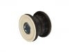 Suspension Bushing:500336357